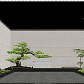 New Chinese Courtyard Landscape Pine Moss 3d model