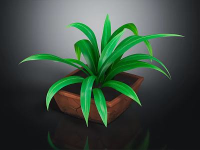 Green Leafy Plant With Long Leaves In Brown Square Pot On Black Surface 3d model