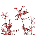 Transparent Glass Vase With Gold Rim And Red Berry Branches For Decoration