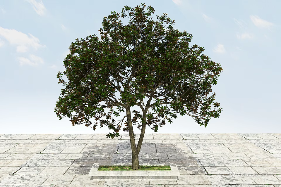 Tall Arbor Tree With Lush Green Leaves In Square Planting Bed On Stone Pavement 3d model 