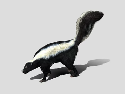 Game And Movie Skunk Character With Black White Fur And Fluffy Tail Standing Pose 3d model