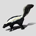 Game And Movie Skunk Character With Black White Fur And Fluffy Tail Standing Pose