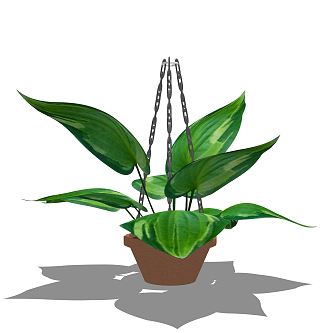 Modern hanging basket hanging plant green plant hanging basket potted plant 3d model