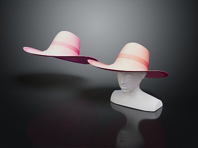 Modern Hat Women's Hat Fashion Hat 3d model