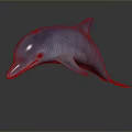 Spotting Dolphin Dolphin Cartoon Dolphin Animation Dolphin Animation Dolphin Animation Character Game Character 3d model