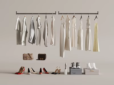 Bags and Boxes with Hanging Clothes and Various Shoes in Organized Wardrobe Setup 3d model
