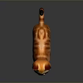 Orange And White Tabby Cat Standing With Black Tipped Tail On Dark Background And Reflection