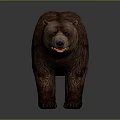 Realistic Brown Bear With Thick Fur Standing In Natural Posture 3d model