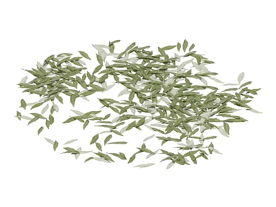 Dried Green Herbal Leaves Scattered Loose On White Natural Background 3d model