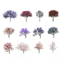 Various Colorful Flowering Shrub Varieties With Purple Pink Red Blooms