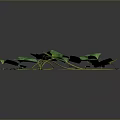Green Vines Plant With Curved Stems And Many Green Leaves On Dark Background