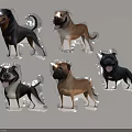 Six Various Breed Inflatable Dog Models With Transparent Bases And Colorful Features