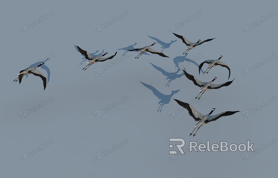 Crane bird bird wild goose model