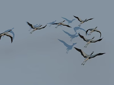 A Flock of Flying Cranes Soaring in the Blue Sky with Outstretched Wings 3d model