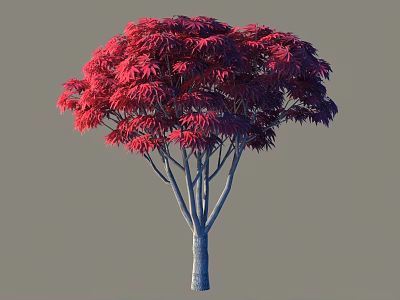 Vibrant Red Leaf Arbor With Lush Foliage And Gray Trunk 3d model