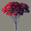 Vibrant Red Leaf Arbor With Lush Foliage And Gray Trunk