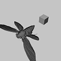 Detailed Cicada With Transparent Wings And Colorful Rubik's Cube On Gray Background