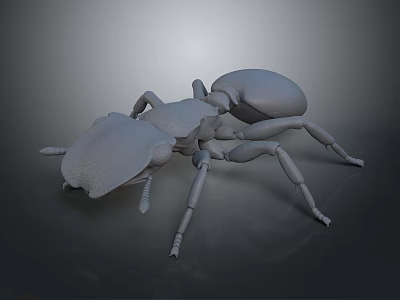 Detailed 3D Ant Model With Gray Body And Realistic Leg Structure Design 3d model