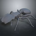 Detailed 3D Ant Model With Gray Body And Realistic Leg Structure Design
