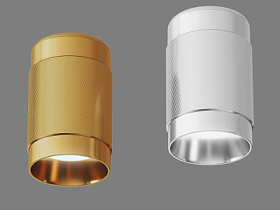 Modern Gold And Silver Downlights Spotlights With Sleek Design For Interior Lighting 3d model