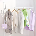 Modern Clothes Rack With Hanging Clothes Handbag Folded Clothes And Shoes