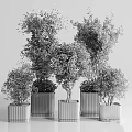 Garden Ornamental Greenery With Various Sizes Potted Plants And Black Textured Square Pots
