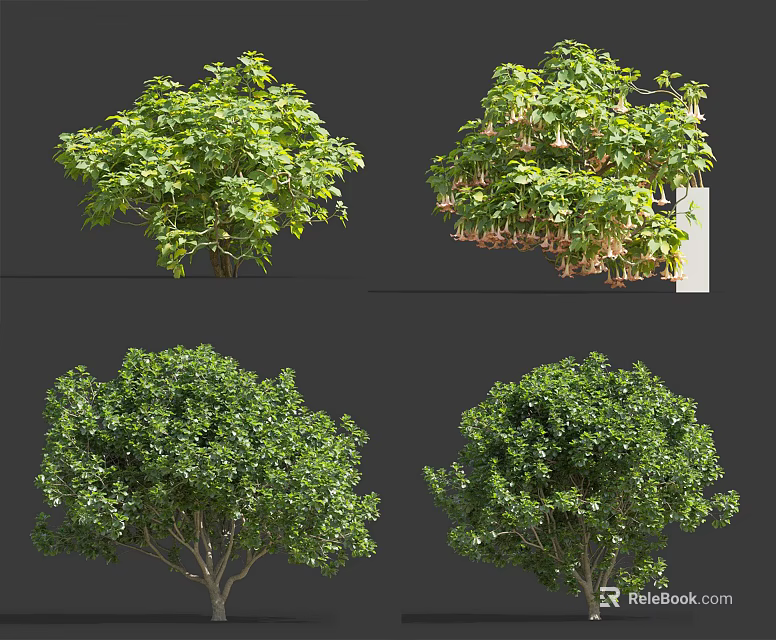 Various Types of Shrubs With Lush Green Foliage and Rounded Growth Forms 3d model 
