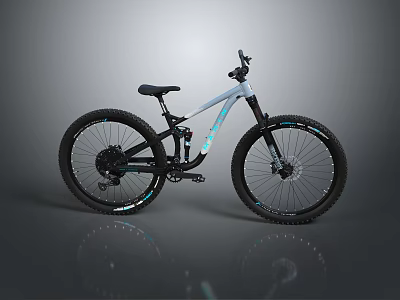 Modern Mountain Bike with Black Seat Large Off Road Tires and Silver Frame 3d model