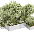 Green Plant Combination in Concrete Planters with Shrubs and Herbaceous Plants
