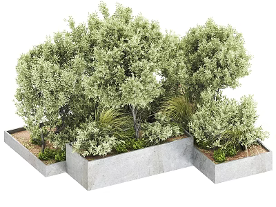 Green Plant Combination in Concrete Planters with Shrubs and Herbaceous Plants 3d model