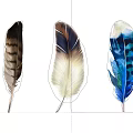 Decorative Feather Ornament Set With Natural And Colorful Design For Home Decor