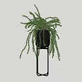 Modern Bonsai Potted Plant With Hanging Foliage In Black Pot On Metal Stand