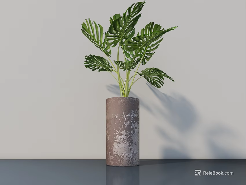 Indoor Green Monstera Potted Plant In Gray Cylindrical Pot On Dark Tabletop With Shadows 3d model 