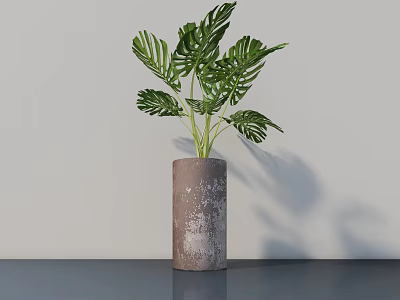 Indoor Green Monstera Potted Plant In Gray Cylindrical Pot On Dark Tabletop With Shadows 3d model