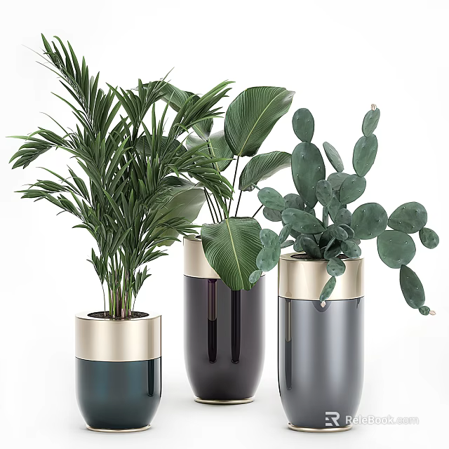 Various Green Potted Plants In Modern Gold Rimmed Planters For Indoor Decor 3d model 
