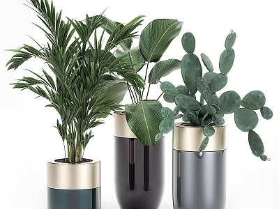 Various Green Potted Plants In Modern Gold Rimmed Planters For Indoor Decor 3d model