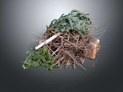 Lush Green Plants Mixed with Dry Twigs and a Natural Stone Pile 3d model
