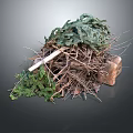 Lush Green Plants Mixed with Dry Twigs and a Natural Stone Pile