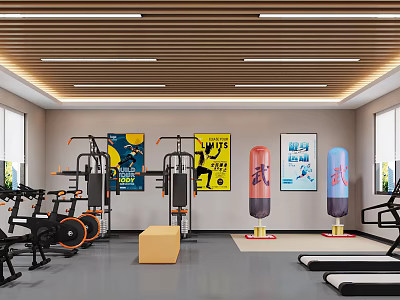 Modern Fitness Gym Interior With Strength Training Machines Boxing Bags And Posters 3d model