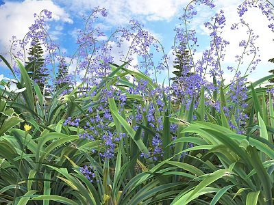 Stunning Purple Flowers And Lush Green Leaves In Garden Against Blue Sky With Pine Trees 3d model