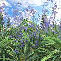 Stunning Purple Flowers And Lush Green Leaves In Garden Against Blue Sky With Pine Trees