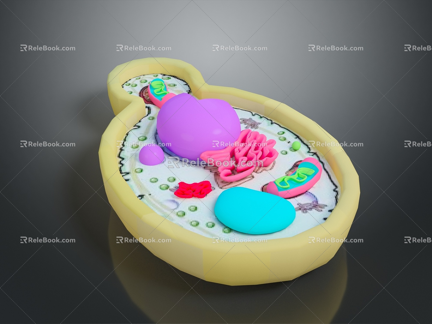 Bacteria Eukaryotic cell Cross section Cell Cell structure Cell tissue Anatomical organ 3d model