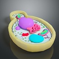 Bacteria Eukaryotic cell Cross section Cell Cell structure Cell tissue Anatomical organ 3d model