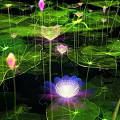 Garden Landscape With Green Lily Pads And Pink Purple Lotus Flowers On Water Surface