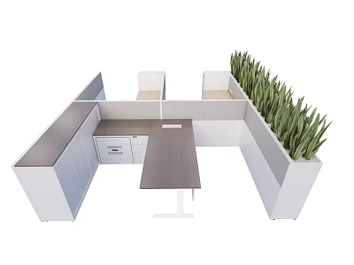 Modern Office Desk Workspace With Partition And Green Plants Setup 3d model