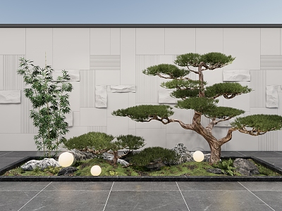 Courtyard sketch interior landscape pine plant combination stone background wall model