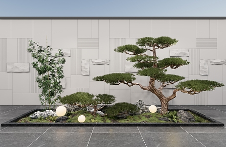 Courtyard sketch interior landscape pine plant combination stone background wall 3d model