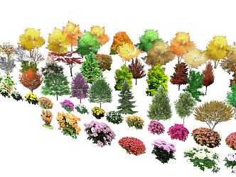 Modern Trees Shrubs Landscape Trees Color Trees Plants and Flowers 3d model