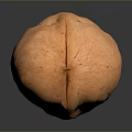 Single Whole Natural Walnut with Rough Shell on Dark Shiny Surface 3d model