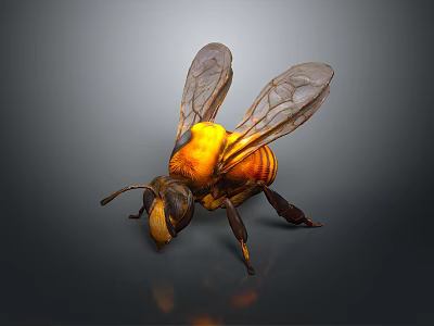 Detailed 3D Rendered Bee With Yellow Black Body Transparent Wings On Dark Background 3d model
